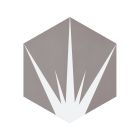Gemini Grey Patterned Porcelain Hexagon Tile (228x198mm) | Go Tiles